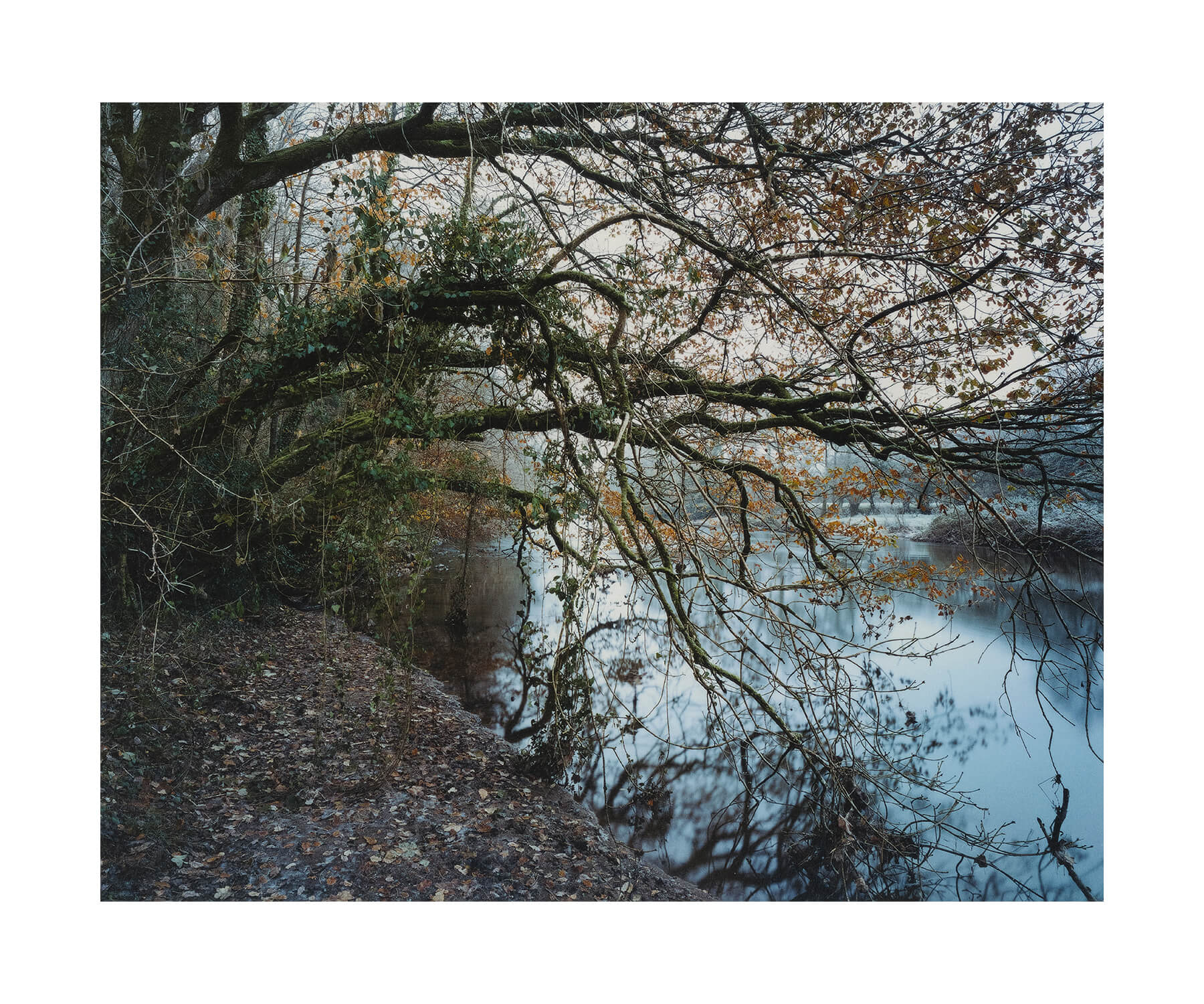 Devon arts